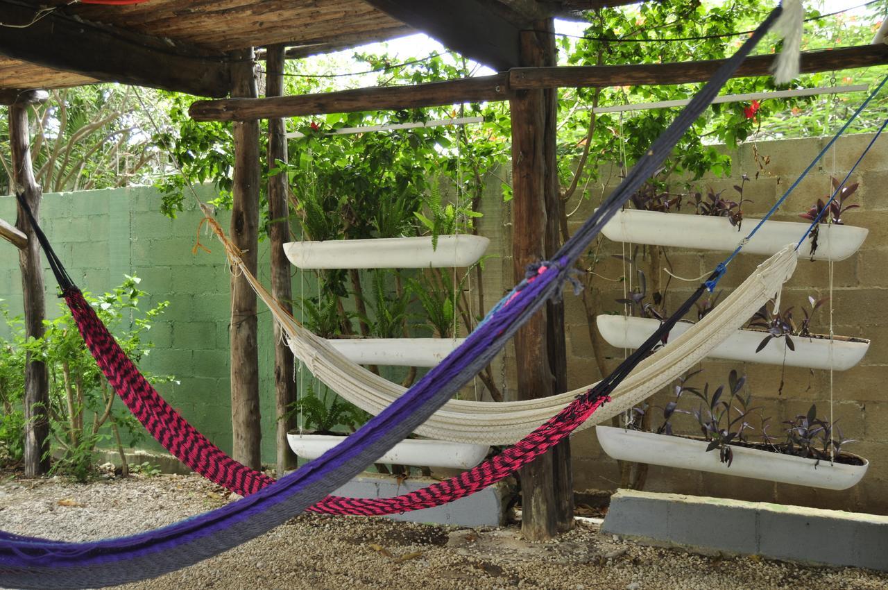 Lobo Inn Tulum ตูลุม ภายนอก รูปภาพ