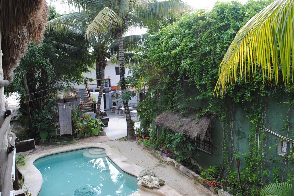 Lobo Inn Tulum ตูลุม ภายนอก รูปภาพ